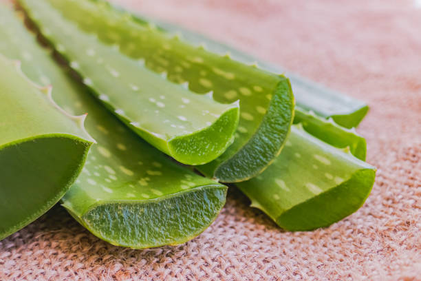 aloe vera for hair growth
